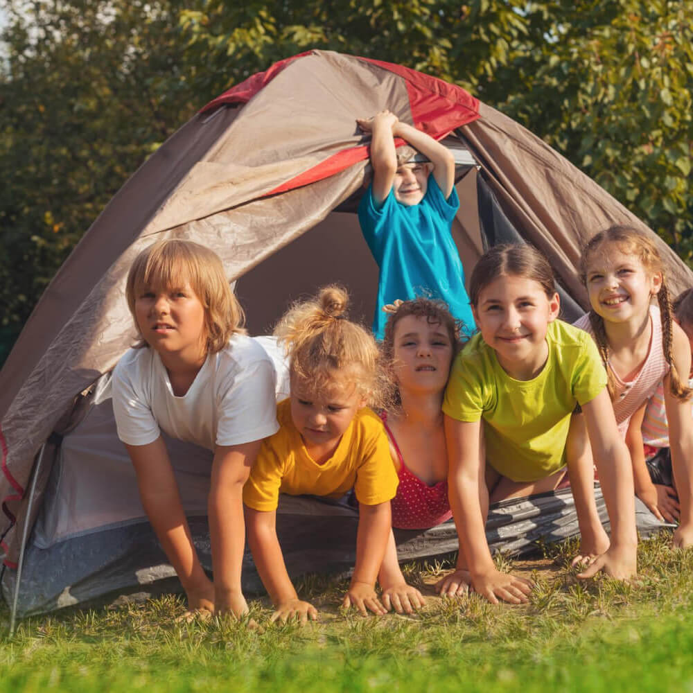 Dębowy Zakątek Grodziszcze 80 - zagroda edukacyjna