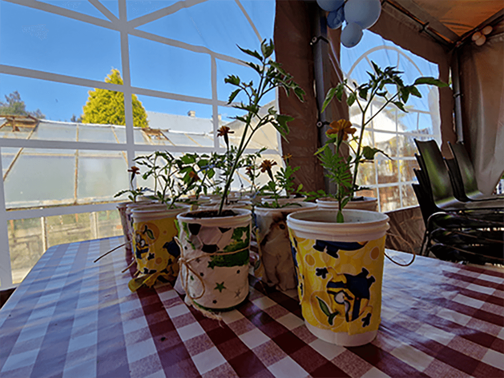 Dębowy Zakątek Grodziszcze 80 - zagroda edukacyjna