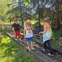 Dębowy Zakątek Zdjęcie Warsztaty (4)